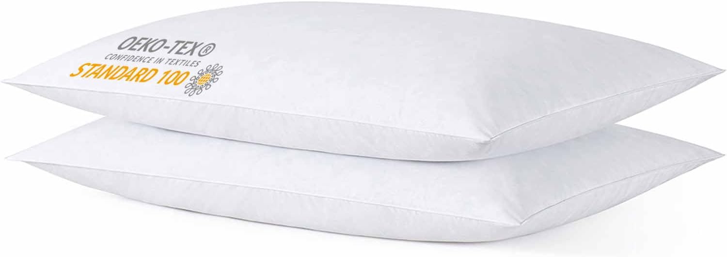 iFaon Thin Flat Ultra Soft Bed Pillows Standard Size Set of 2 Pack for Sleeping, Bed Pillow for Stomach Back and Side Sleepers, Machin…