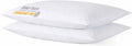 iFaon Thin Flat Ultra Soft Bed Pillows King Size Set of 2 Pack for Sleeping, Bed Pillow for Stomach Back and Side Sleepers, Machine Wa…