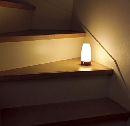 ZEEFO Retro LED Night Light PIR Motion Sensor Light, Activated Step Lighting Lamps, Indoor/Outdoor Battery Operated Lamp Sensitive Portable…