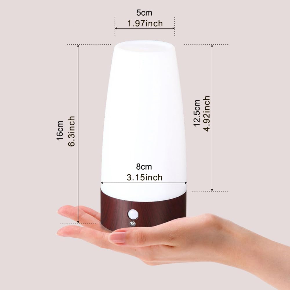 ZEEFO Retro LED Night Light PIR Motion Sensor Light, Activated Step Lighting Lamps, Indoor/Outdoor Battery Operated Lamp Sensitive Portable…