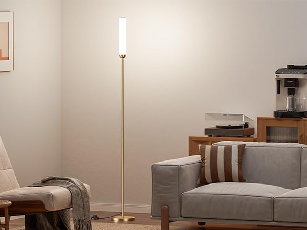 Ambimall LED Floor Lamp with Remote Control, 65" Standing lamp with Stepless Adjustable 3000K-6500K Colors & 30-100% Brightness, Foot…