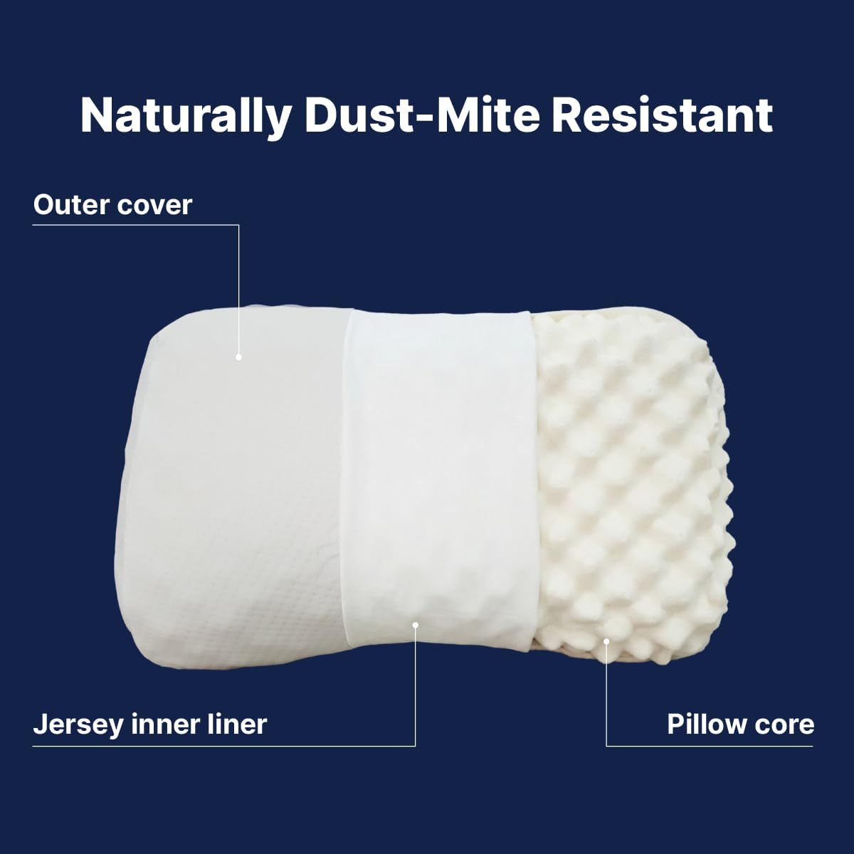 Velisse — Natural Latex Pillow for Stomach Back Side Sleepers, Peanut Shape for All Position Sleeping, Wave-Ridge Surface, Single-Height…