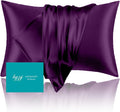 Mulberry Silk Pillowcase for Hair and Skin Standard Size 20"X 26" with Hidden Zipper, Softer Than Silk Pillow Cases Smooth Cooling Pillow…