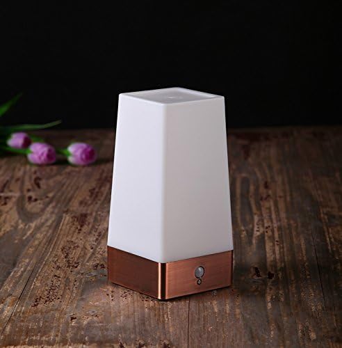 ZEEFO Motion Sensor LED Night Light 3 Modes Battery Powered LED Table Lamp, Sensitive Lights Stairway Bedroom/Bathroom Hallway Emergency…
