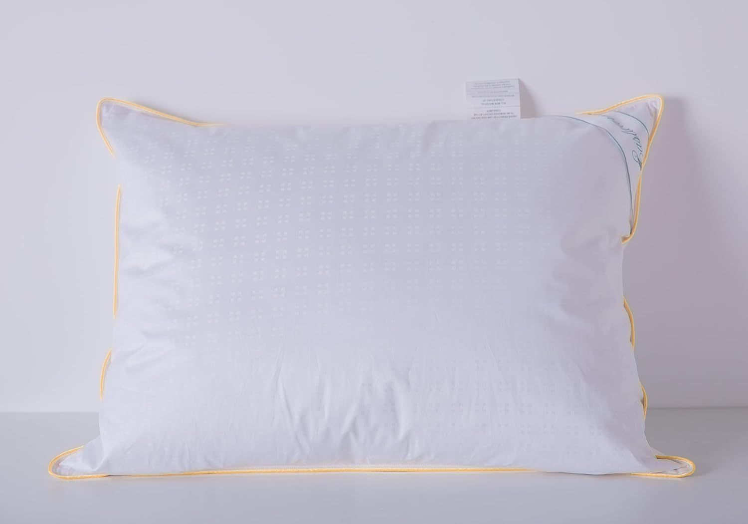 Goose Down Feather Soft Pillows Queen Size One Pillow 100% Cotton Supportive Cool Bed Pillows for Back Side Stomach Sleepers