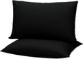 Flat Ultra Thin Bed Pillows Standard Size Pillow Set of 2 Extra Soft Down Alternative for Stomach Back Sleeper Black 20x26inches