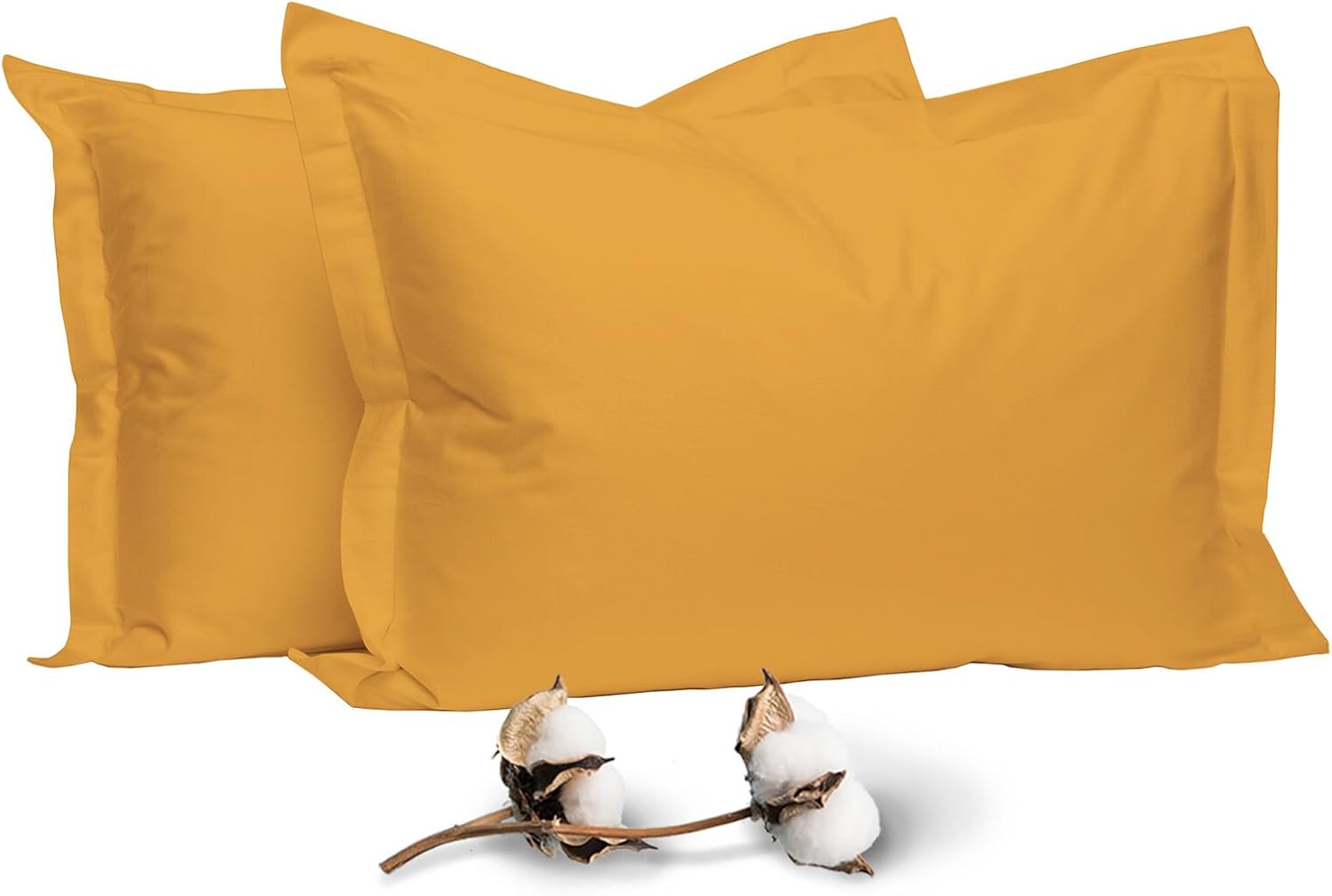 Pizuna Pure 100% Cotton Pillow Shams Queen Size Set of 2 Honey Gold, Luxurious 400 Thread Count Long Staple Cotton Sateen with Envelope Clo…
