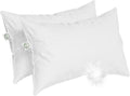 East Coast Bedding European Pure Down Pillow, 800 Fill Power, 400 Thread Count Cotton Sateen Shell, Standard Soft