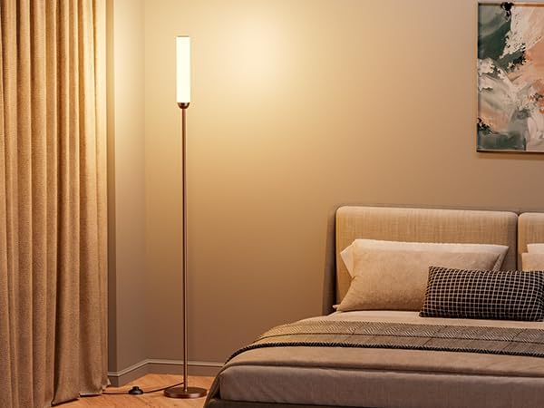 Ambimall LED Floor Lamp with Remote Control, 65" Standing lamp with Stepless Adjustable 3000K-6500K Colors & 30-100% Brightness, Foot…