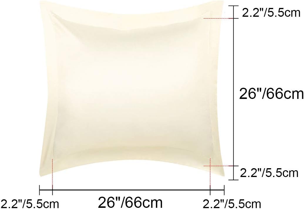PiccoCasa 2 Pack Satin Pillowcase for Hair and Skin, Euro Sham Pillow Covers Soft Silky Oxford Pillow Cases with Envelope Closure European(…