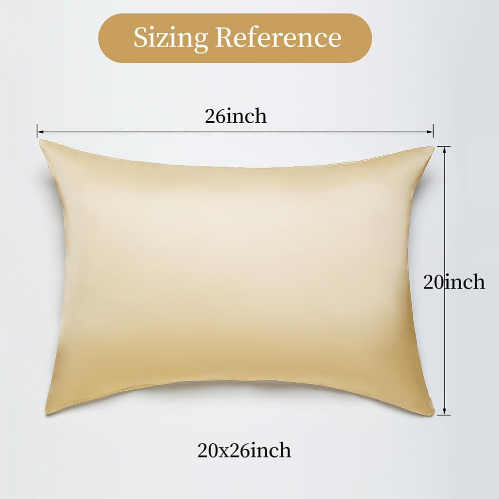 2 Pack Mulberry Silk Pillow Cases Standard Size with Hidden Zipper, Ultra Smooth and Soft Breathable Cooling Silk Satin Pillowcase for…