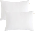 BEDSUM Toddler Pillows, 13x18 Ultra Soft Microfiber Travel Pillow for Sleeping - Small Pillows for Kids Daycare, Flight and Neck Support…