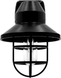 Maxxima Decorative Vintage LED Night Light - Farmhouse Plug-in Wall Outlet Light, 3000K Warm White, Features Automatic Dusk-to-Dawn…