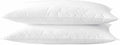 Acteb Ultra Thin Flat Soft Bed Pillows Standard Size Set of 2 Pack for Sleeping 20"x26", Hypoallergenic Skin Friendly Machine Washable