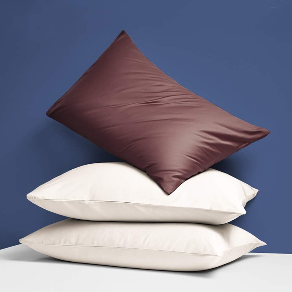 Ntbay Zippered Satin Pillow Cases for Hair and Skin, Luxury Queen Hidden Zipper Pillowcases Set of 2, 20x30 Inches, Dark Brown 30 Inches