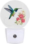Hummingbird Flower Bird Night Light Plug Into Wall Auto Led Sleep Round Lamp for Living Room Hallway Stairs