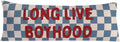 Long Live Boyhood 20x54 Body Pillow Cover for Boys Room Nursery, Boy Nursery Decor, Kids Playroom Decor, Retro Blue and White Checkered…