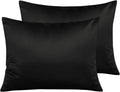 Ntbay Zippered Satin Pillow Cases for Hair and Skin, Luxury Standard Hidden Zipper Pillowcases Set of 2, 20x26 Inches, Black 26 Inches Black