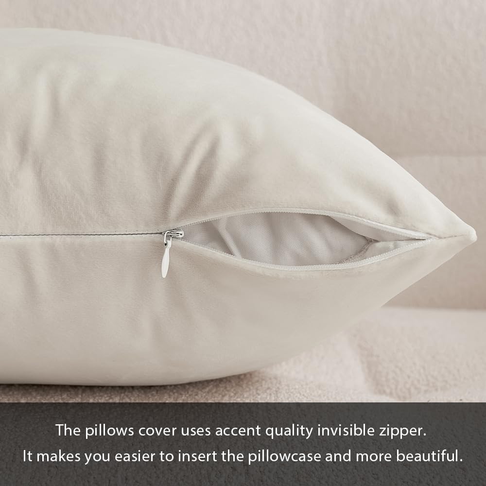 Miulee Velvet Pillow Cover Soft Luxury Decorative Throw Pillow Cover Single Rectangle Cushion Case for Couch Sofa Bedroom Car Decor,14x22 I…