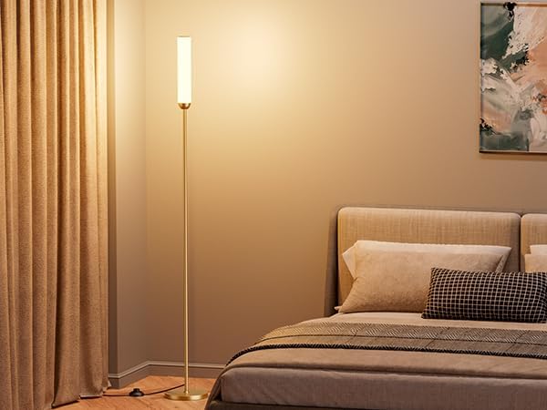 Ambimall LED Floor Lamp with Remote Control, 65" Standing lamp with Stepless Adjustable 3000K-6500K Colors & 30-100% Brightness, Foot…
