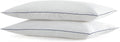 Silui Flat Soft Thin Pillows Queen Size Set of 2 Pack Bed Pillow with Down Alternative Fill for Side Back Stomach Sleepers, 20x30 Inches, W…