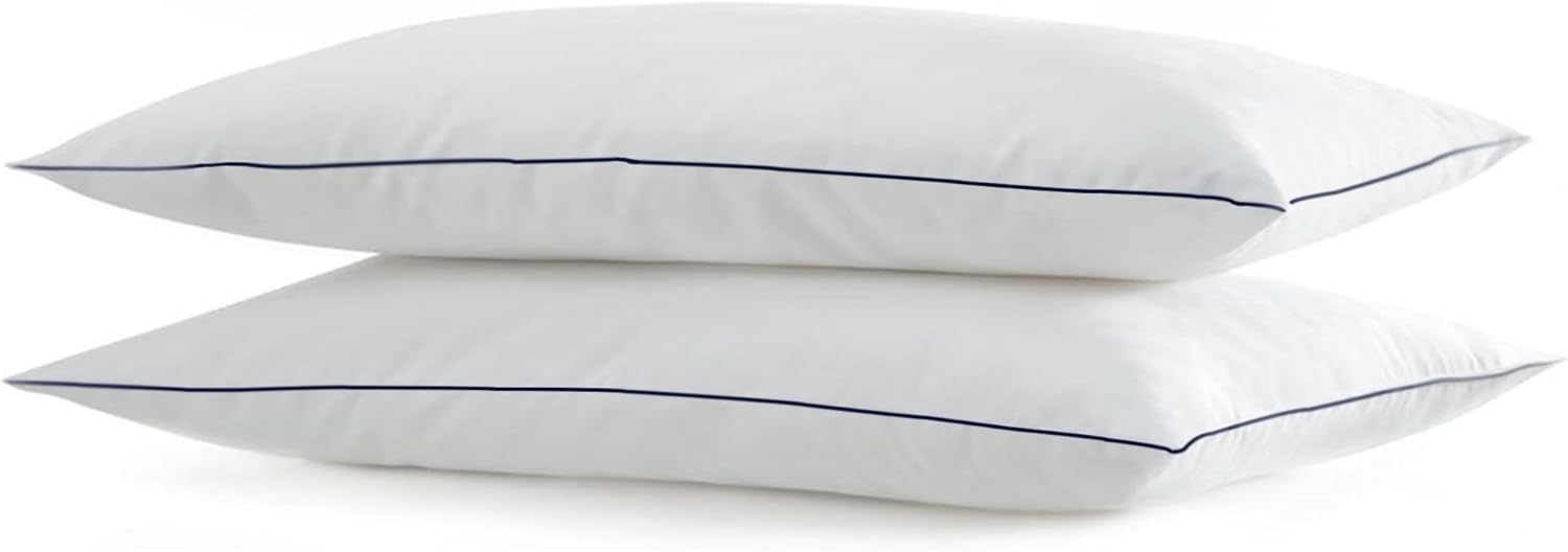 Silui Flat Soft Thin Pillows Queen Size Set of 2 Pack Bed Pillow with Down Alternative Fill for Side Back Stomach Sleepers, 20x30 Inches, W…