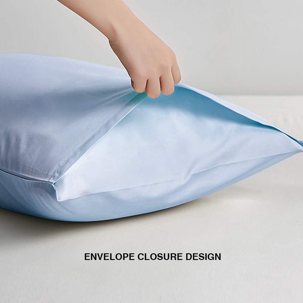 FLXXIE Pillow Cases Queen, Soft Microfiber Pillow Covers with Envelope Closure, Wrinkle Resistant Pillowcases, 2 Piece Set, 20x30, Sky Blue