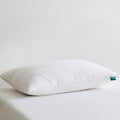 ThreeGeese Three Geese White Goose Feather Down Pillows King Size(20x36inches) 2 Pack- 100% Cotton, Medium Firm, Soft Support 2 Pack Cotton…