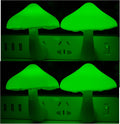 AUSAYE 4 Pack Plug in Night Light, Mushroom Light LED Nightlights for Kids, Adults, Bedroom, Bathroom, Hallway, Stairs, Kitchen Green