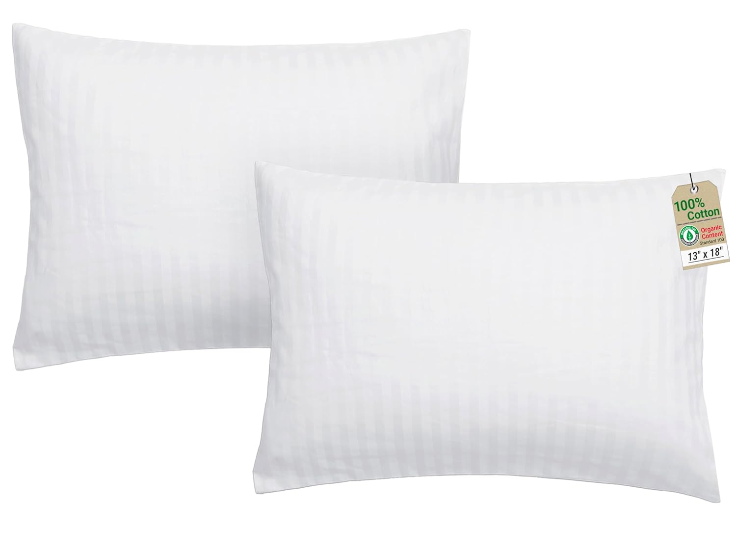 ZPECC-ABrandThatHasBeenFocusedOnBeddingFor20Years ZPECC Toddler Pillow with Pillowcase 2 Pack - 13x18 Organic Cotton Hypoallergenic Kids Pi…