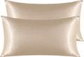 Ntbay 2 Pack Satin King Pillowcases for Hair and Skin, Luxurious and Silky Pillow Cases with Envelope Closure, 20x40 Inches, Taupe 2 Pack 4…