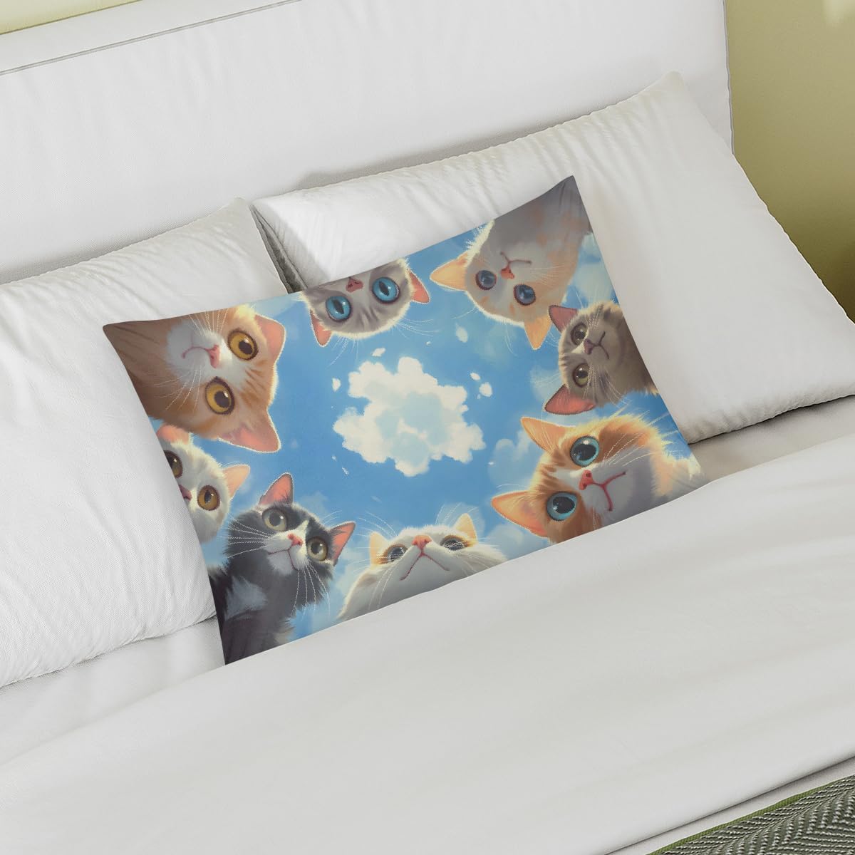 Cloud Funny Cat Satin Pillowcase for Hair and Skin Soft Silk Pillow Cases with Envelope Closure Cooling Pillow Case Slip Standard Pillow…
