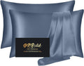 Home Silk Pillow Cases 2 Pack, Mulberry Silk Pillowcases Standard Set of 2, Soft, Smooth, Anti Acne, Beauty Sleep, Both Sides Natural Silk…