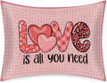 Valentine Pink Heart Satin Silk Pillowcase for Hair & Skin Pillow Cases Standard Size Soft Silk Pillow Case with Envelope Closure Satin…