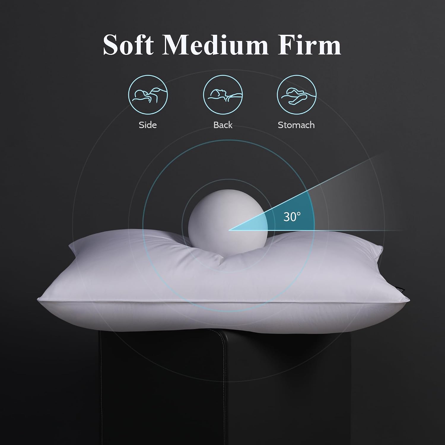 DOWNSTORIA Goose Feather Down Pillow Standard Size Set of 2, Hotel Collection Bed Pillows for Sleeping, 2 Pack, Down Surrounded Soft…