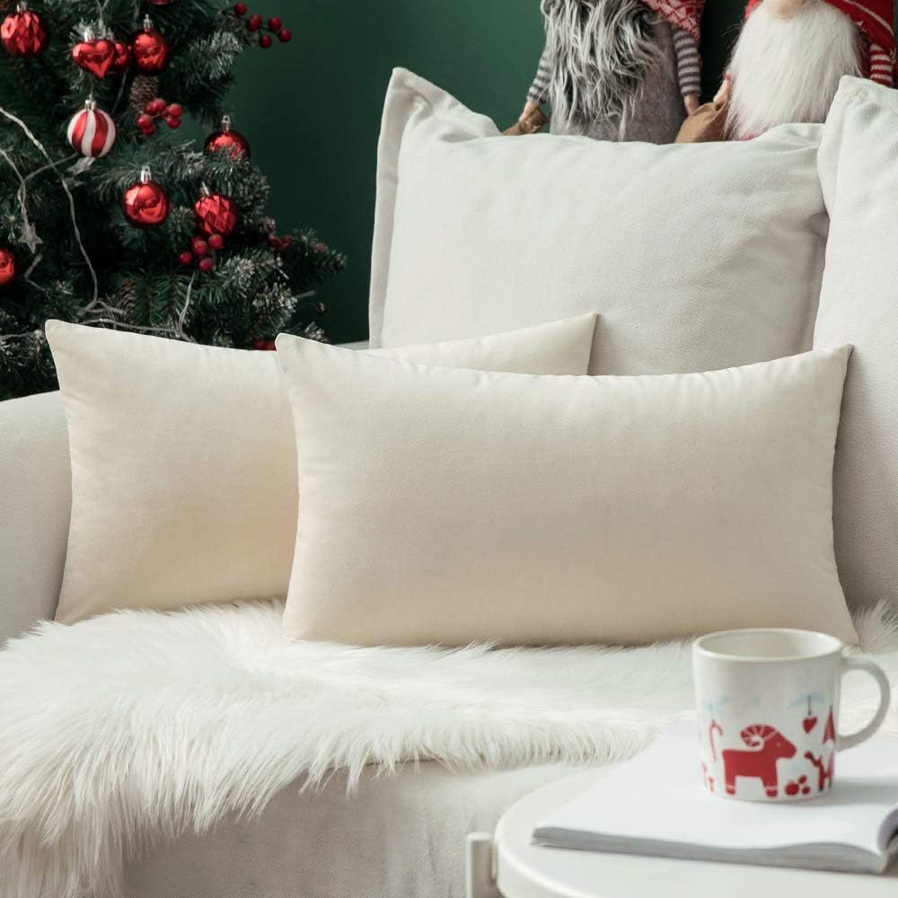 Miulee Velvet Pillow Cover Soft Luxury Decorative Throw Pillow Cover Single Rectangle Cushion Case for Couch Sofa Bedroom Car Decor,14x22 I…