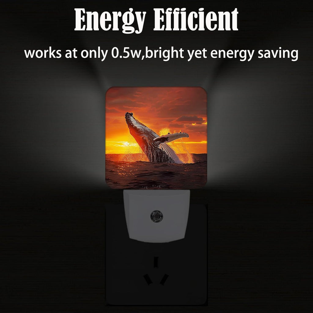 Sunset Humpback Whale Night Light, Plug Into Wall for Boys Girls Bedroom Decorative Square Night Light Lamp 0.5w Sleep Friendly