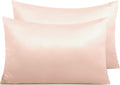 Ntbay Zippered Satin Pillow Cases for Hair and Skin, Luxury Queen Hidden Zipper Pillowcases Set of 2, 20x30 Inches, Pink 30 Inches Pink