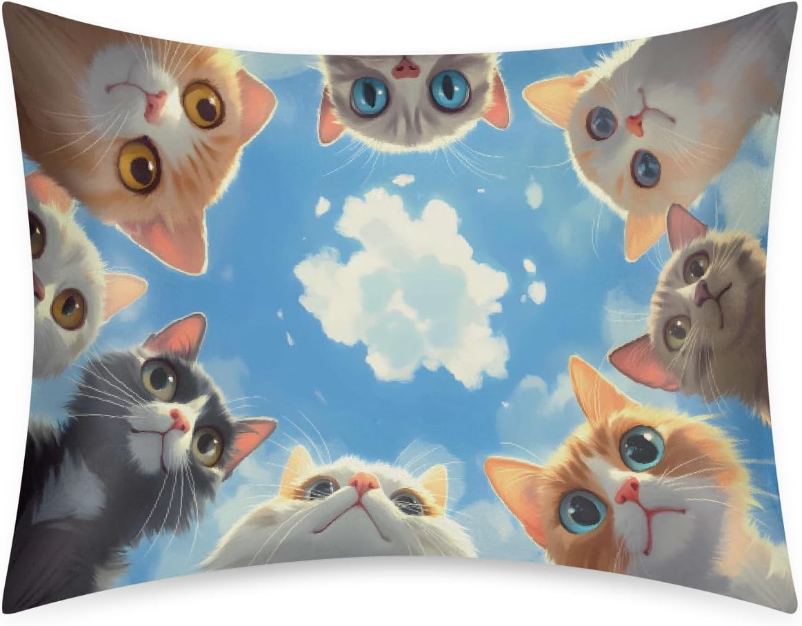 Cloud Funny Cat Satin Pillowcase for Hair and Skin Soft Silk Pillow Cases with Envelope Closure Cooling Pillow Case Slip Standard Pillow…