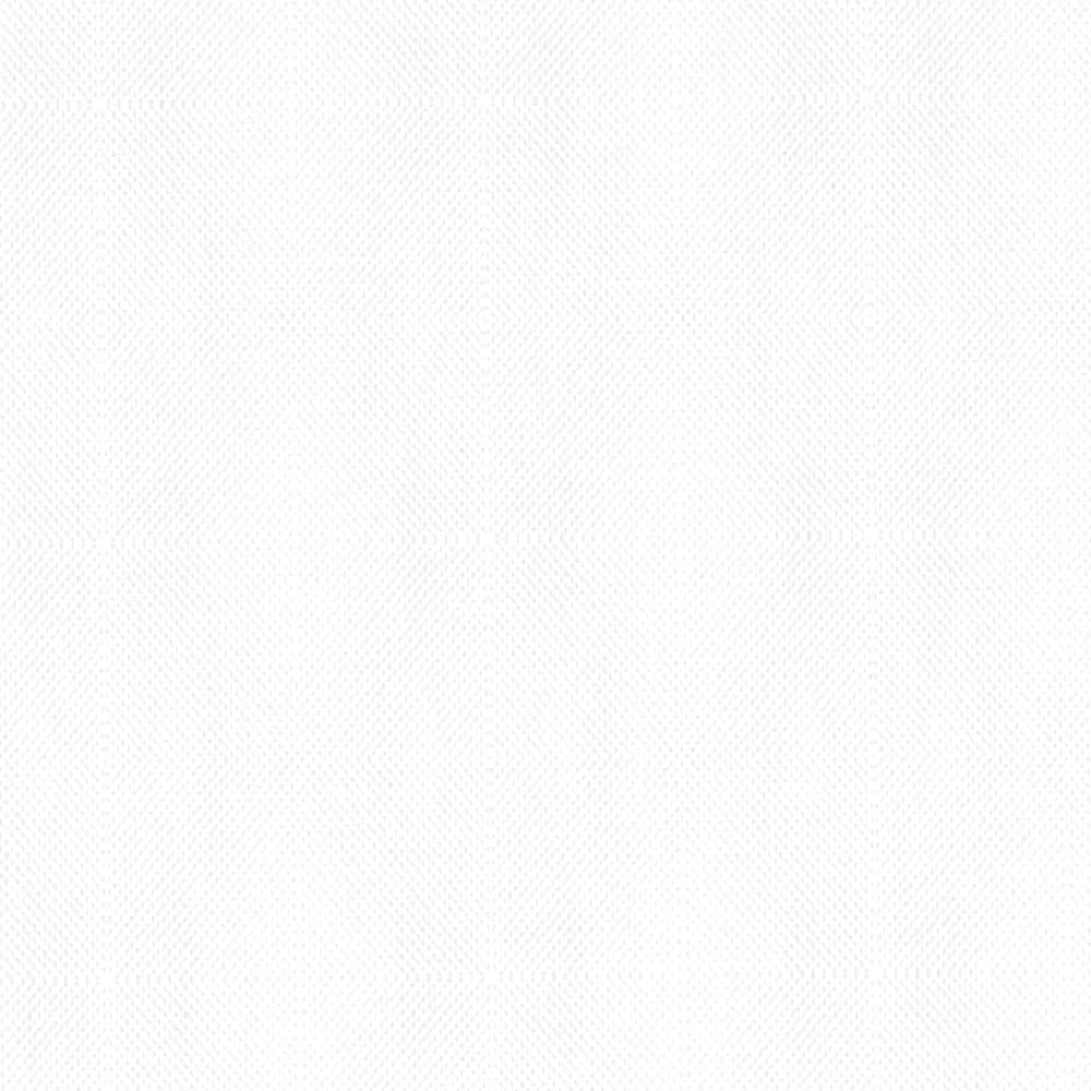 Bed Bug Blocker FRE14602WHIT09 Pillow Protectors, King, White