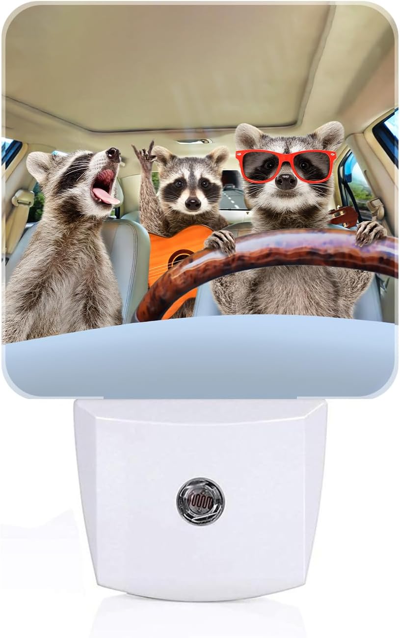 Three Cute Raccoons Night Light, Plug-in Nightlights Auto Sensor Night Lamp Dusk-to-Dawn Lamp Home Decor for Nursery Children Girls Boys