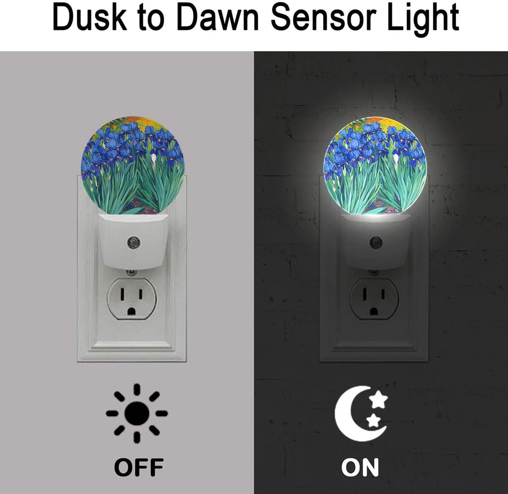Blue Flower Oil Painting Night Light Plug Into Wall Auto Led Sleep Round Lamp for Living Room Hallway Stairs