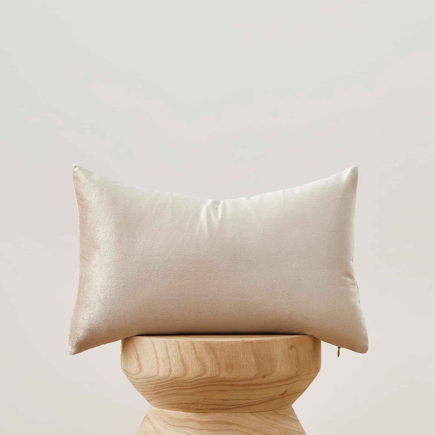 GIGIZAZAFocusingonhomedecoration GIGIZAZA 12x20 Lumbar Pillow Covers: Pack of 2 Champagne Beige Throw Pillows Super Soft Velvet Covers - De…