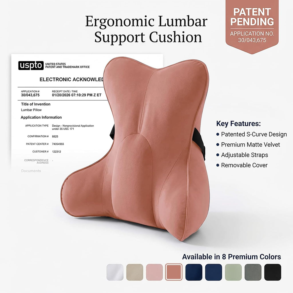 Ailuteie Lumbar Support Pillow (Pat. Pend) for Office Chair, Couch, Recliner & Car Seat, Ergonomic Back Support Cushion for Lower Back, Wa…