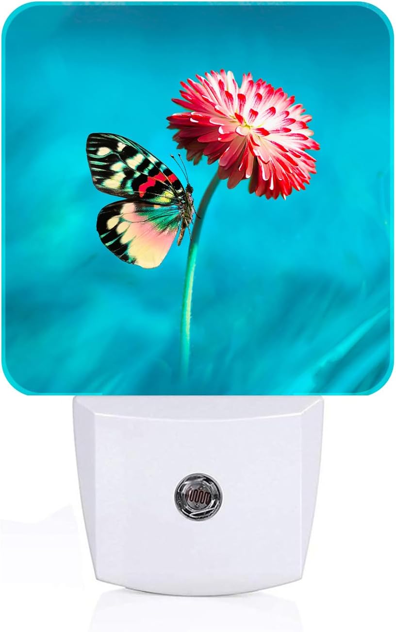 Butterfly Pink Flower Night Light, Plug-in Night Lights with Dusk-to-Dawn Sensor for Stairway, Hallway, Bedroom Sleep Friendly Ideal for…