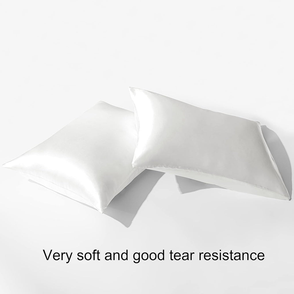 BEDSUM 2 Pack Standard Silk Satin Pillowcases for Hair and Skin, Silky Soft and Luxurious Bedding Pillow Cases with Envelope Closure…