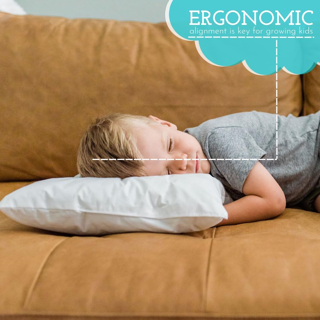LittleSleepyHead Toddler Pillow 13x18 for Sleeping – Kids Pillow for Toddler Bed, Travel, Daycare & Preschool – Soft Hypoallergenic Cotton…