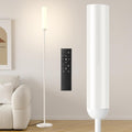 Ambimall LED Floor Lamp with Remote Control, 65" Standing lamp with Stepless Adjustable 3000K-6500K Colors & 30-100% Brightness, Foot…