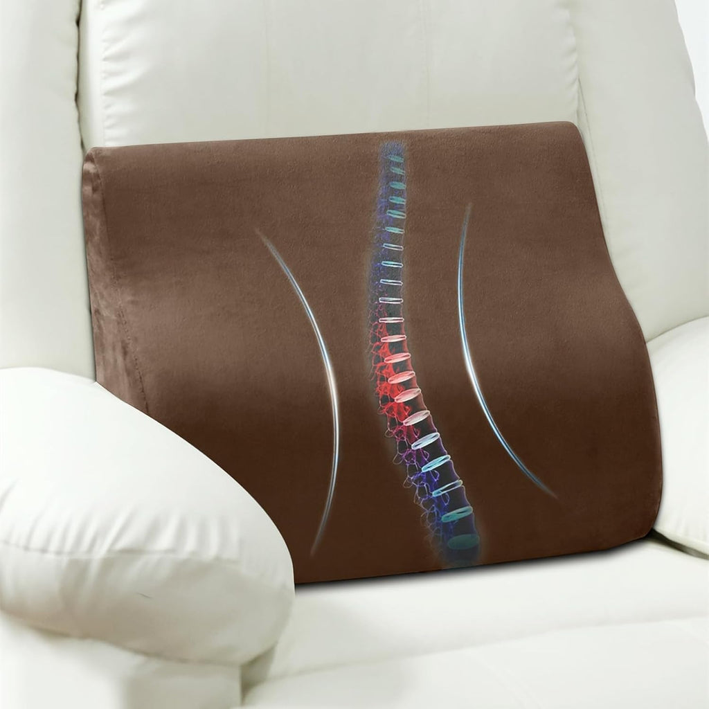 Ahuawa Lumbar Support Pillow for Recliner Chair and Couch, Memory Foam Back Cushion Ergonomic Large Back Support Pillow for Lower Back, wi…