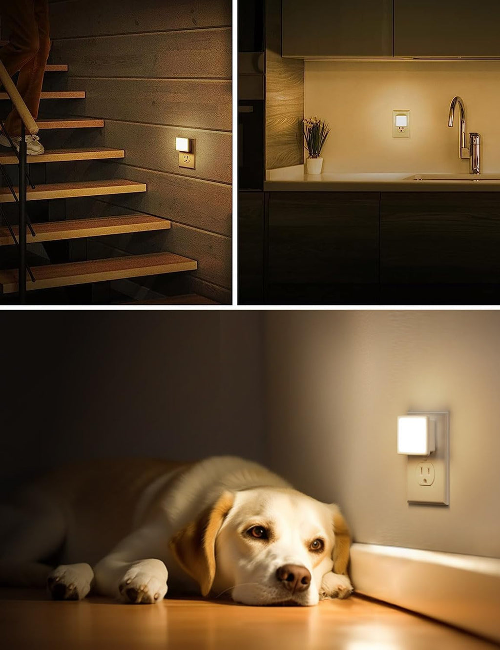 L LOHAS LED Night Light, Night Lights Plug into Wall, [6-Pack] Plug in Night Light, Dusk-to-Dawn Sensor, 3000K Soft White 0.3W Bright…